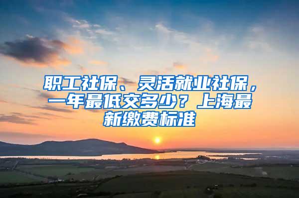 职工社保、灵活就业社保，一年最低交多少？上海最新缴费标准