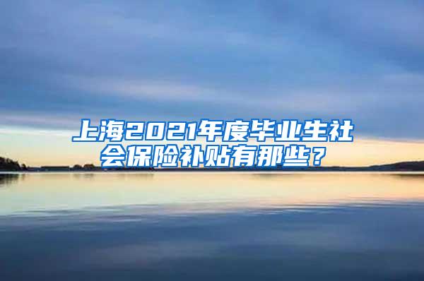 上海2021年度毕业生社会保险补贴有那些？