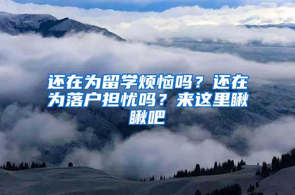 还在为留学烦恼吗？还在为落户担忧吗？来这里瞅瞅吧