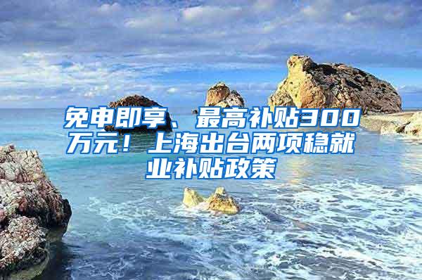 免申即享、最高补贴300万元！上海出台两项稳就业补贴政策