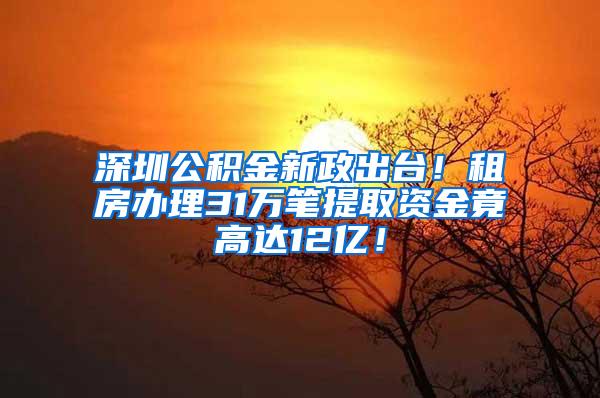 深圳公积金新政出台！租房办理31万笔提取资金竟高达12亿！