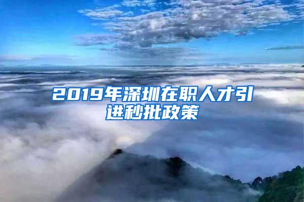 2019年深圳在职人才引进秒批政策