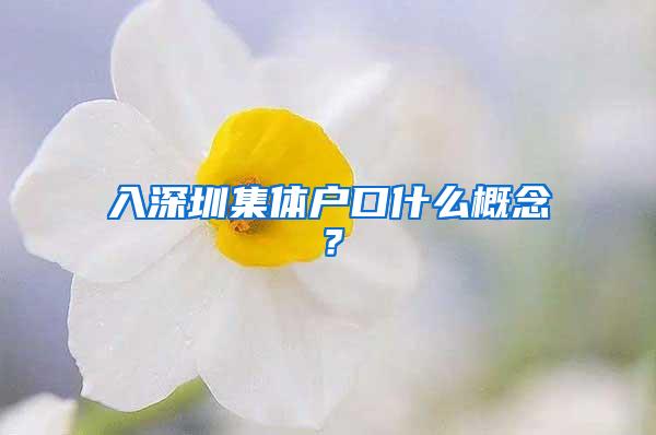 入深圳集体户口什么概念？