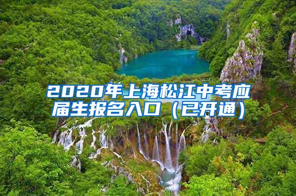 2020年上海松江中考应届生报名入口（已开通）