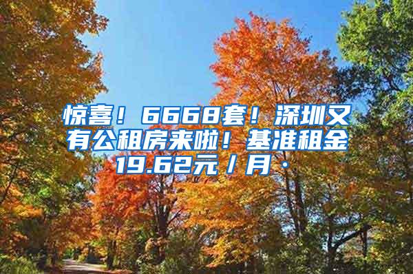 惊喜！6668套！深圳又有公租房来啦！基准租金19.62元／月·㎡