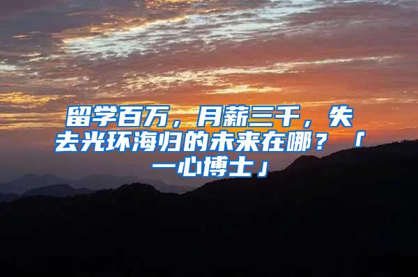 留学百万，月薪三千，失去光环海归的未来在哪？「一心博士」