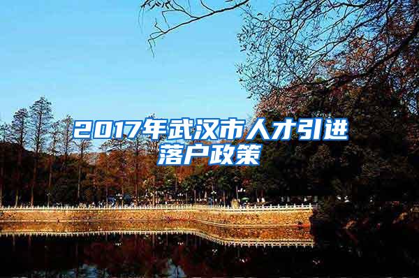 2017年武汉市人才引进落户政策