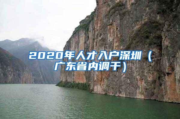 2020年人才入户深圳（广东省内调干）