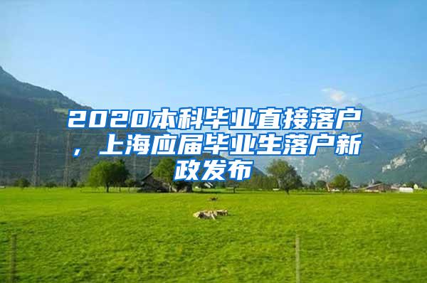 2020本科毕业直接落户，上海应届毕业生落户新政发布