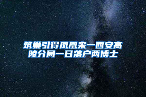 筑巢引得凤凰来一西安高陵分局一日落户两博士