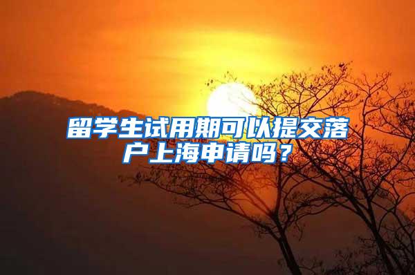 留学生试用期可以提交落户上海申请吗？