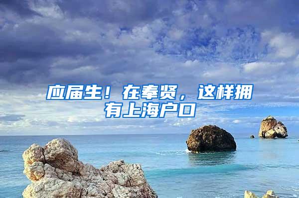 应届生！在奉贤，这样拥有上海户口