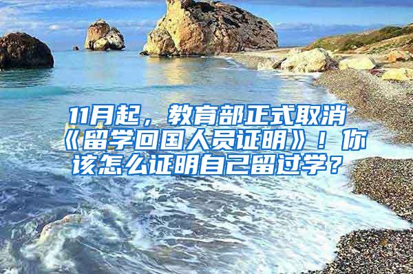 11月起，教育部正式取消《留学回国人员证明》！你该怎么证明自己留过学？