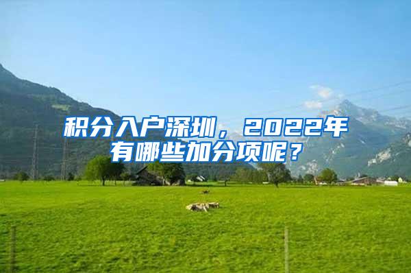 积分入户深圳，2022年有哪些加分项呢？