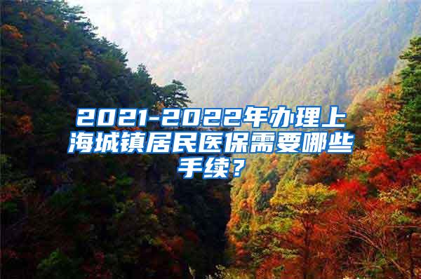 2021-2022年办理上海城镇居民医保需要哪些手续？