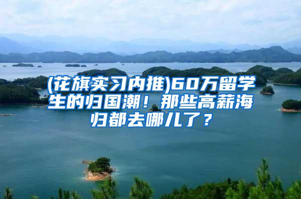 (花旗实习内推)60万留学生的归国潮！那些高薪海归都去哪儿了？