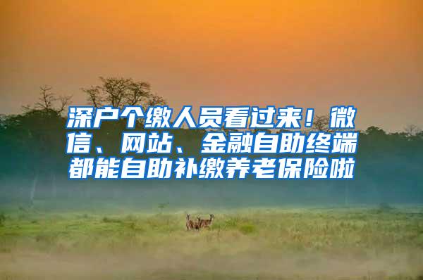 深户个缴人员看过来！微信、网站、金融自助终端都能自助补缴养老保险啦