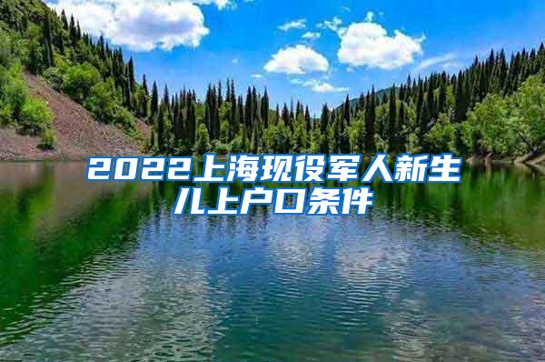 2022上海现役军人新生儿上户口条件