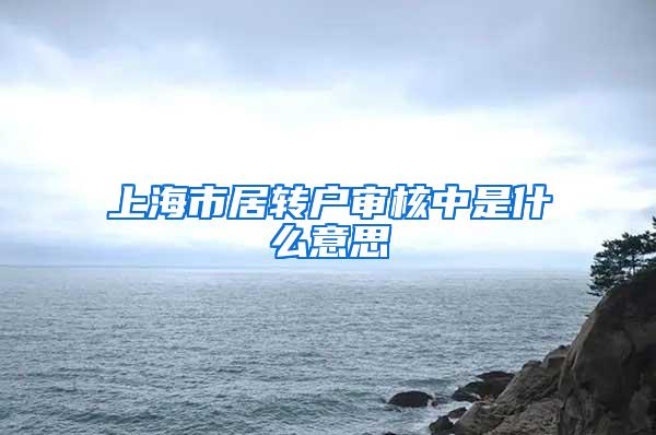 上海市居转户审核中是什么意思