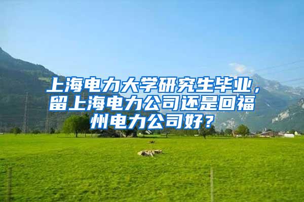 上海电力大学研究生毕业，留上海电力公司还是回福州电力公司好？