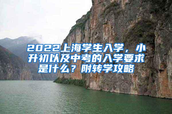 2022上海学生入学，小升初以及中考的入学要求是什么？附转学攻略