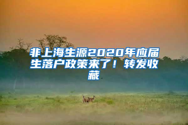 非上海生源2020年应届生落户政策来了！转发收藏