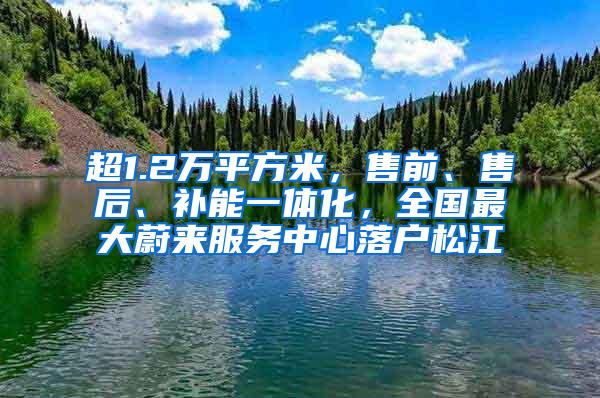 超1.2万平方米，售前、售后、补能一体化，全国最大蔚来服务中心落户松江