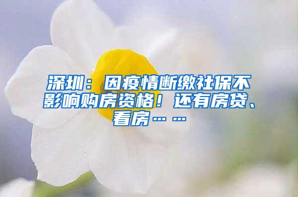 深圳：因疫情断缴社保不影响购房资格！还有房贷、看房……