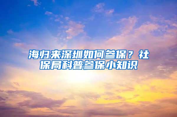 海归来深圳如何参保？社保局科普参保小知识