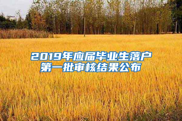 2019年应届毕业生落户第一批审核结果公布