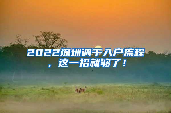 2022深圳调干入户流程，这一招就够了！