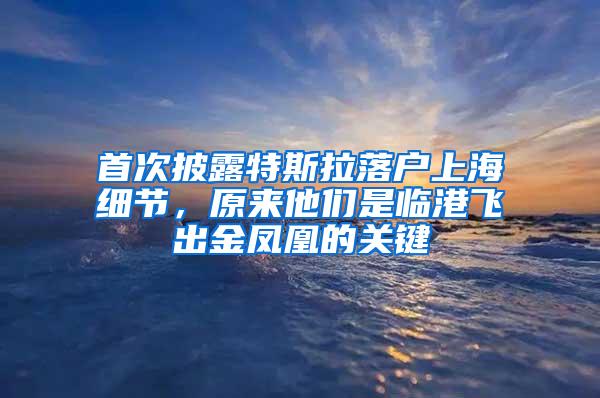 首次披露特斯拉落户上海细节，原来他们是临港飞出金凤凰的关键