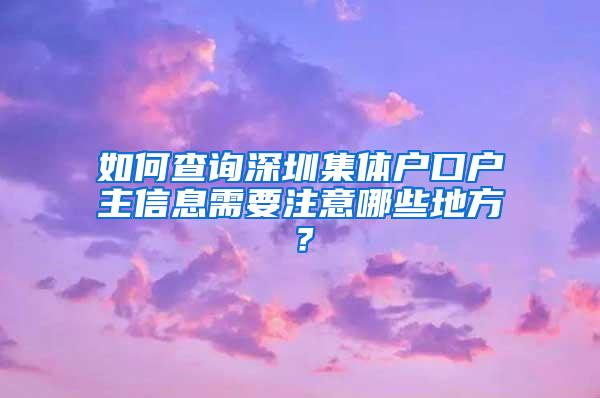 如何查询深圳集体户口户主信息需要注意哪些地方？