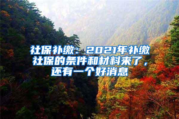 社保补缴：2021年补缴社保的条件和材料来了，还有一个好消息