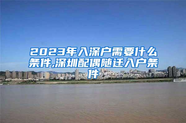 2023年入深户需要什么条件,深圳配偶随迁入户条件