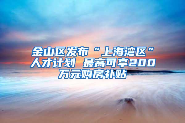 金山区发布“上海湾区”人才计划 最高可享200万元购房补贴