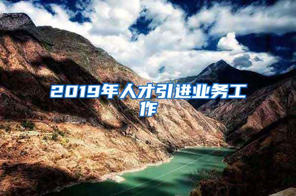 2019年人才引进业务工作