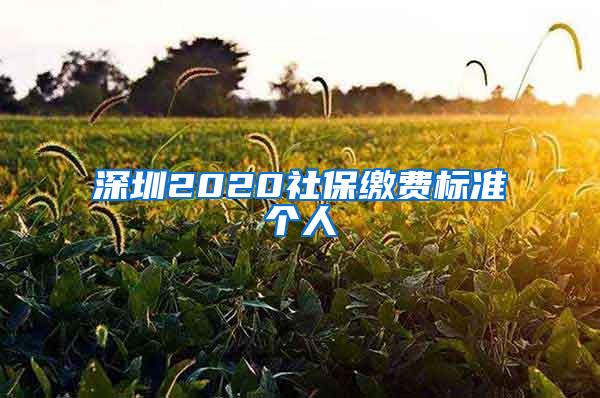 深圳2020社保缴费标准个人