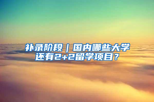 补录阶段｜国内哪些大学还有2+2留学项目？