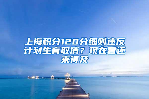 上海积分120分细则违反计划生育取消？现在看还来得及