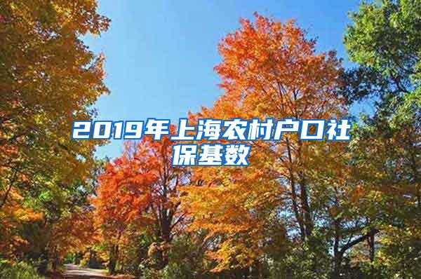 2019年上海农村户口社保基数