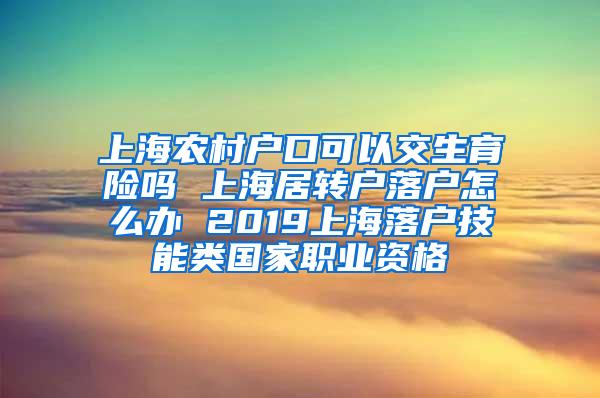 上海农村户口可以交生育险吗 上海居转户落户怎么办 2019上海落户技能类国家职业资格