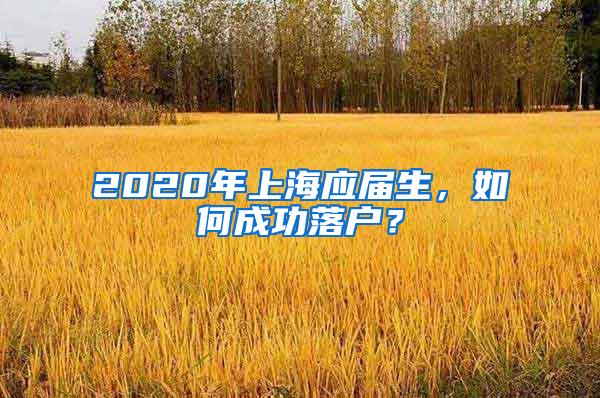 2020年上海应届生，如何成功落户？