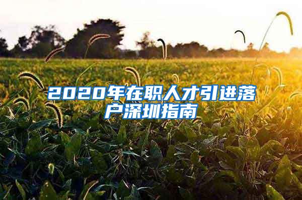 2020年在职人才引进落户深圳指南