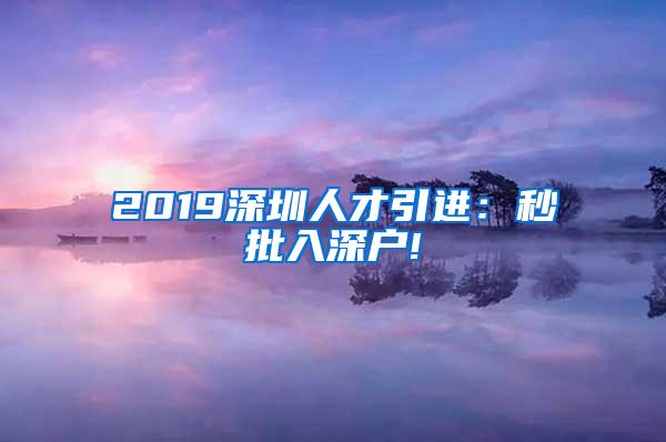 2019深圳人才引进：秒批入深户!