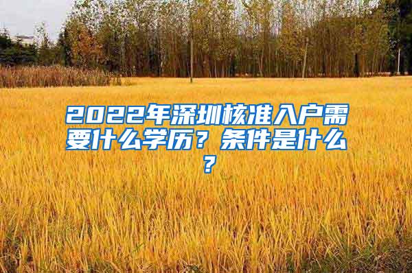 2022年深圳核准入户需要什么学历？条件是什么？