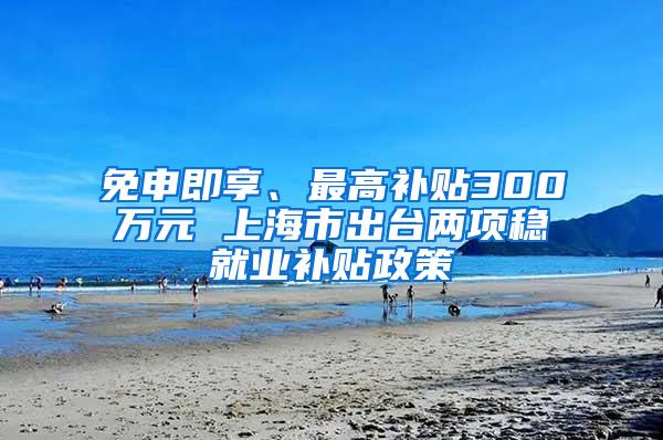 免申即享、最高补贴300万元 上海市出台两项稳就业补贴政策