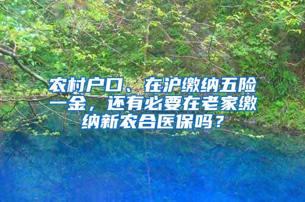 农村户口、在沪缴纳五险一金，还有必要在老家缴纳新农合医保吗？