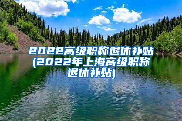 2022高级职称退休补贴(2022年上海高级职称退休补贴)