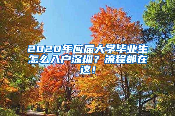 2020年应届大学毕业生怎么入户深圳？流程都在这！